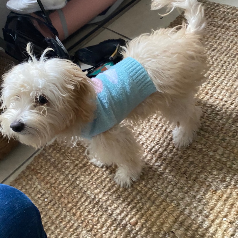 Meet your Posher, Aris